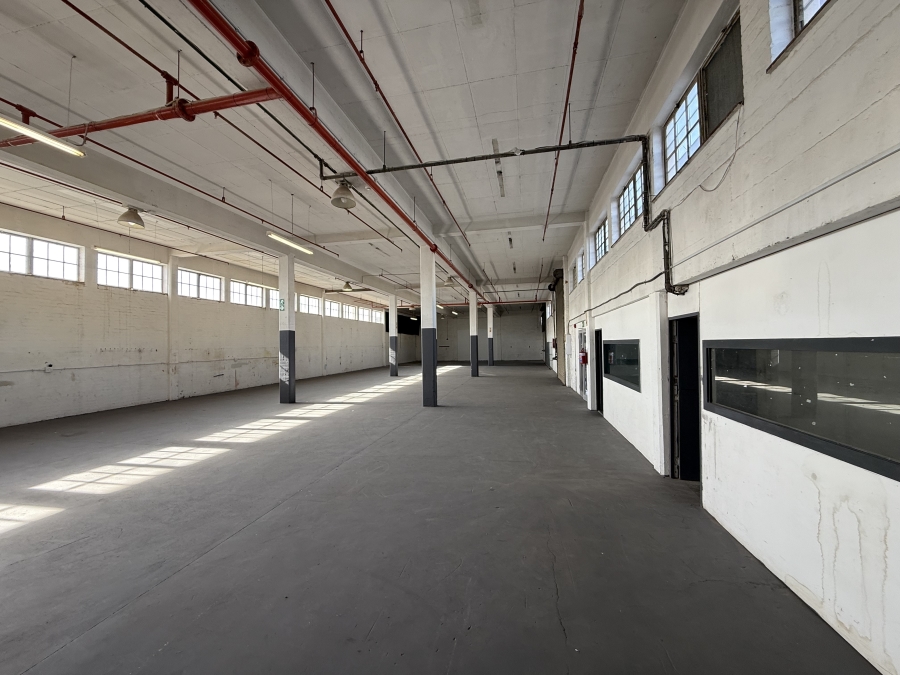 To Let commercial Property for Rent in Bellville South Western Cape